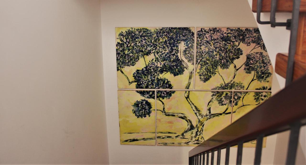 Maruru B & B Dell'Arte 西维尔诺瓦·马尔凯 外观 照片