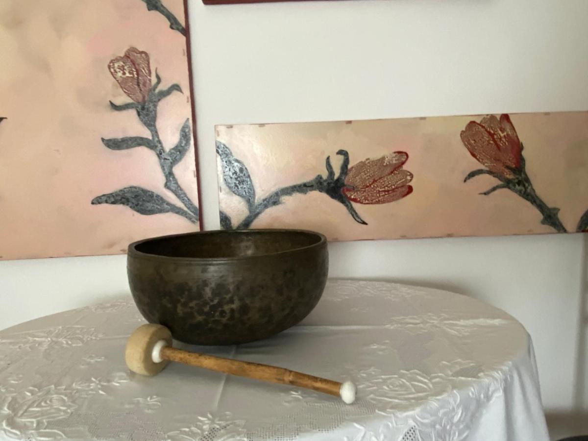Maruru B & B Dell'Arte 西维尔诺瓦·马尔凯 外观 照片