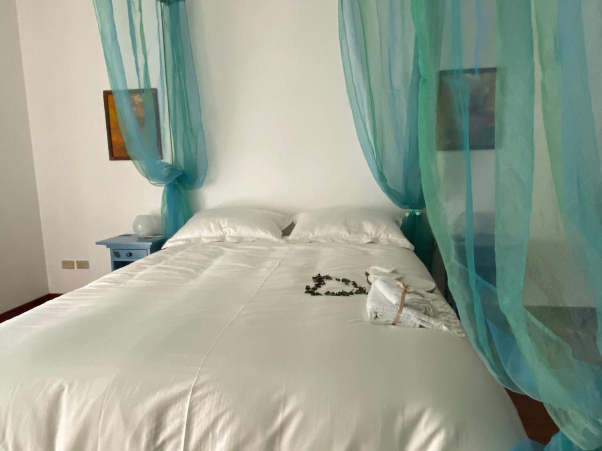 Maruru B & B Dell'Arte 西维尔诺瓦·马尔凯 外观 照片